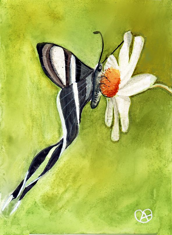 papillon vert