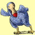 [AIW] The Dodo