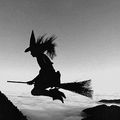 "Tôt ou tard, toute femme indépendante se fait traiter de sorcière."  Ken Follett 