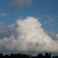 cumulus congestus 