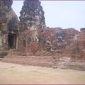 Lopburi  la cité des singes