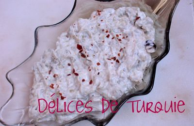 Salade d'aubergine au yaourt - Patlıcan salatası