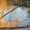 Du fleuve au bois, vers le soleil couchant