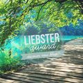 [TAG] Liebster Award