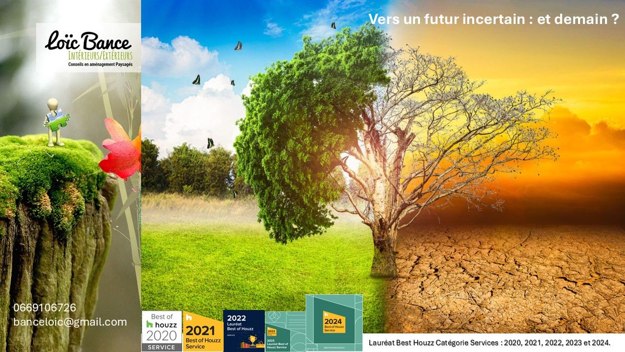 Paysagiste Pays Basque et Paysagiste Landes l'homme et la nature. Un futur incertain.