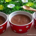 MOUSSE AU CHOCOLAT VEGAN