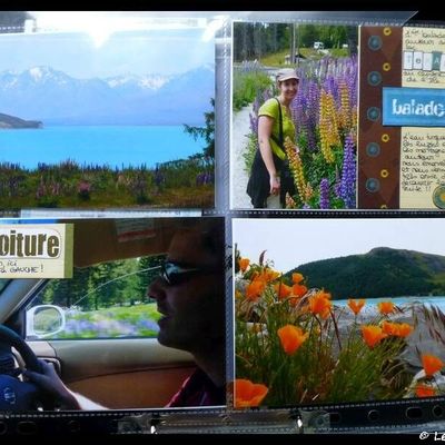 Road trip au pays des Kiwis