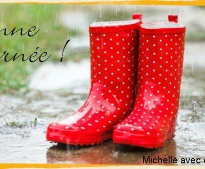 Une journée pluvieuse ?