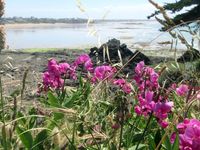 Pèlerinage à la Pointe de la Varde à Saint-Malo le 28 mai 2025 (1)