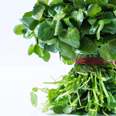 Cresson de fontaine, Une salade pour l'hiver