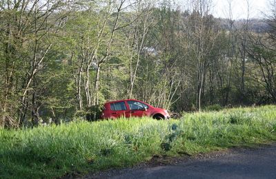 DANGER SUR LA ROUTE DU CINGLE