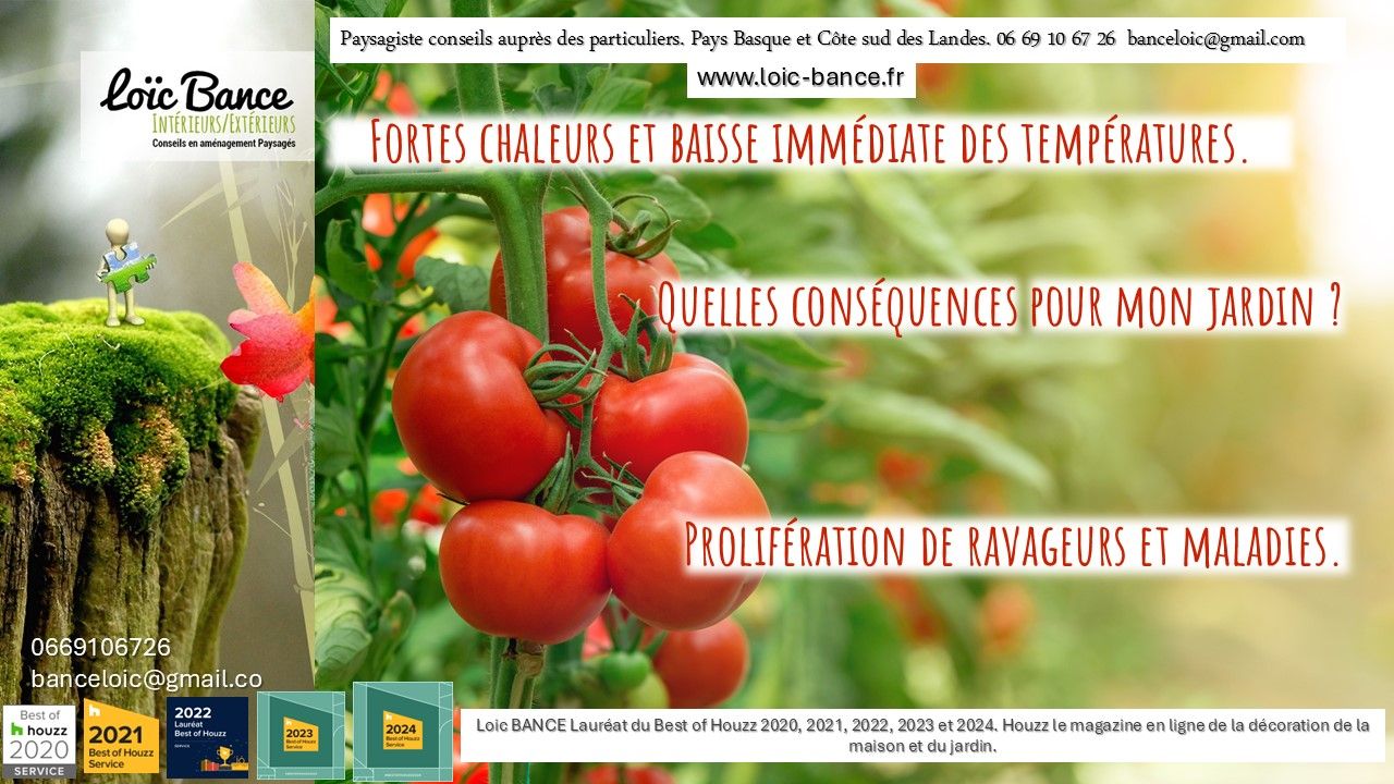 Paysagiste Pays Basque Paysagiste Landes Ravageurs  et maladies des plantes