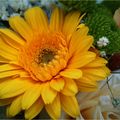 Mes fleurs du dimanche