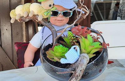 Raphaëlle et les succulentes...