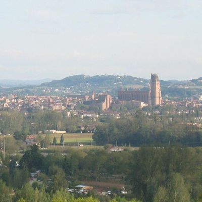 81000 - ALBI