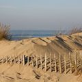 Promenade dans les dunes... Heureusement, je m'en