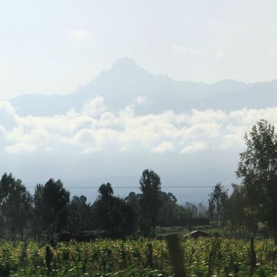 J6 : Route de Sweetwaters à Bogoria (26/07)