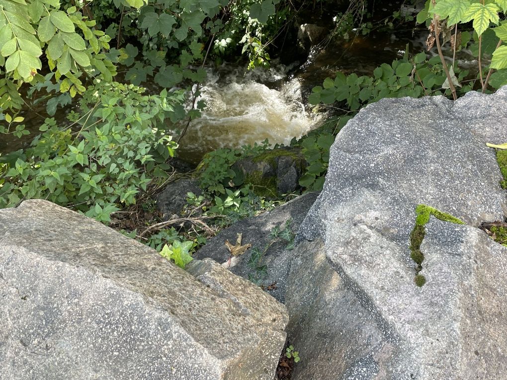 Mercredi 01 octobre 2025 Balade (en date du 27 sept 2025) dans les bois d'Enval jusqu'à la source Marie ,  Initialement exploitée au XIXᵉ siècle pour ses vertus médicinales, La source fut « perdue » vers 1920, puis retrouvée en 1999, Un aménagement (pompe à bras, restauration partielle) a été mis en place après sa redécouverte, le retour harde pour moi mais j'ai poursuivi  au village