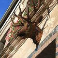 LE GRAND CERF LYONS LA FORÊT 