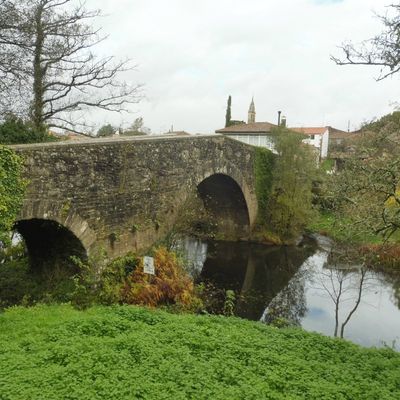 Palas de Rei ==> Ribadiso da Baixo 27 kms