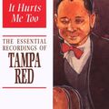 Tampa Red: The Guitar Wizard !