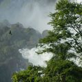 Iguazu, hors du temps et hors du monde