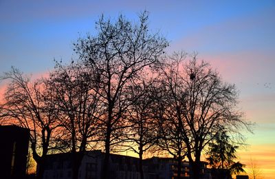 Au coucher du soleil à Rennes le 29 décembre 2019 (2)