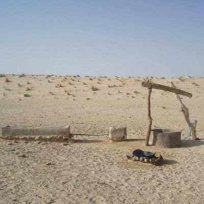 Un puit dans le désert...