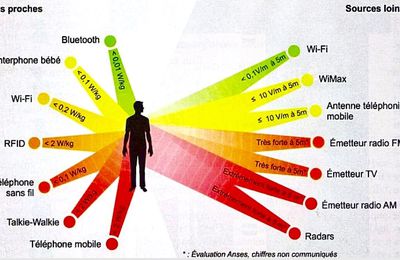 ACIDOSE ET NOUVELLES TECHNOLOGIES