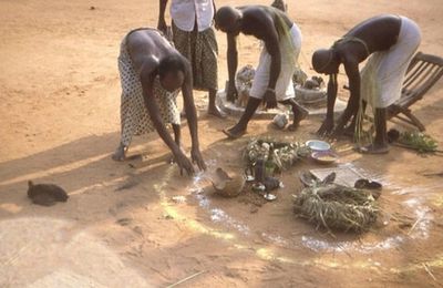 LE RITUEL INTITULÉ:"L'ÉLU DU CIEL" DU MAITRE MARABOUT BODJRENOU