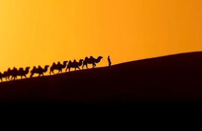 Silk Roads at British Museum