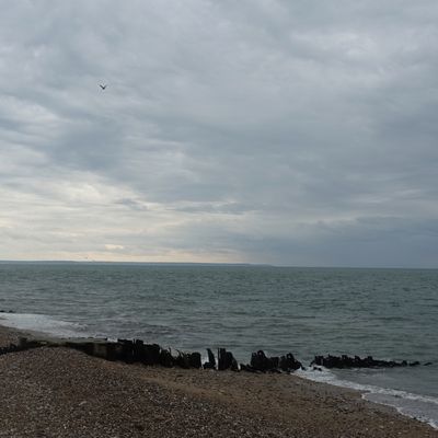 52/2025 : Éloigné