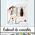 Challenge S 282 : "Cabinet de curiosités"