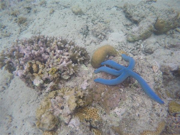 GOPR0457