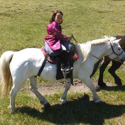 Maudite soit la chèvre du samedi