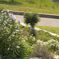 Printemps fleuri en Ardèche