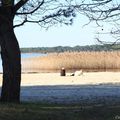 Repos au lac de Sanguinet