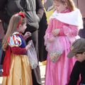 Carnaval de Blois ... encore et toujours ...