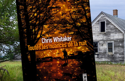 Toutes les nuances de la nuit, par Chris Whitaler
