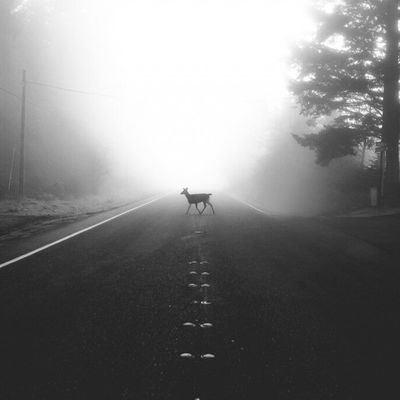 Chapitre 7: Partir Au centre d'aide, j'ai mis des