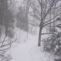 Neige sur le Mont Royal 