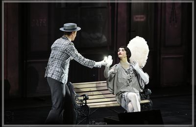Comprendre le spectacle : le Mime et l'Etoile.