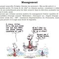 Management (teaser)