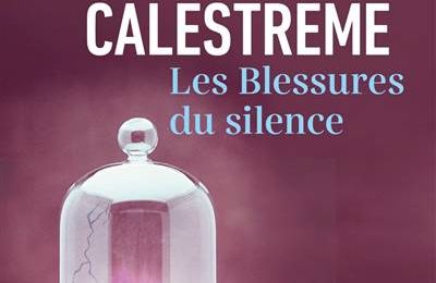 Les blessures du silence de Natacha Calestrémé