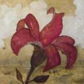 Fleur des champs. Peinture sur toile ( cadre noir) 46x55 cm / 240 €