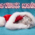 Joyeux Noël...