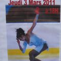 Gala de patinage artistique à Pont-du-Fossé