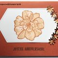 Rose sauvage : 2 cartes