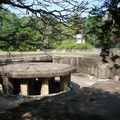 Pune : Pataleshwar Caves