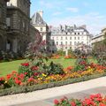 Le jardin du Luxembourg, loin de la foule déchaînée ....